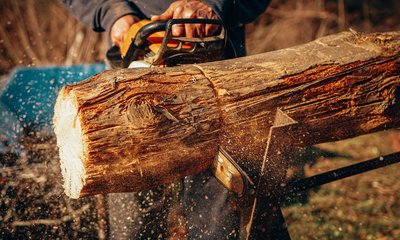 Eine Person sägt mit einer Motorsäge ein Stück von einem Baumstamm ab.