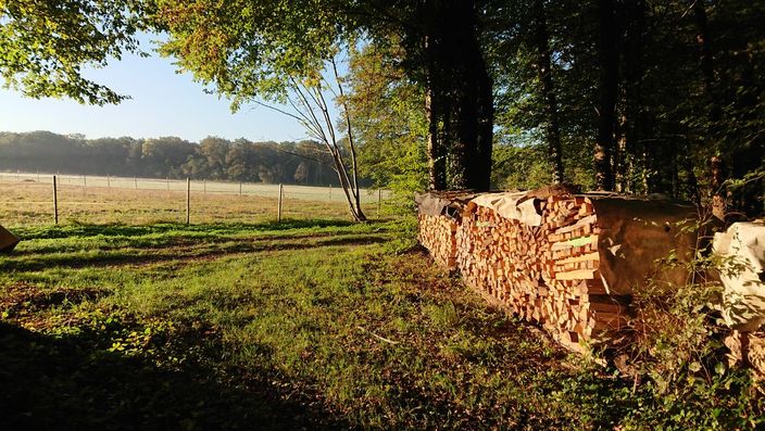 Jägervereinigung Freiburg: Aktuell: Durchführung von Drück